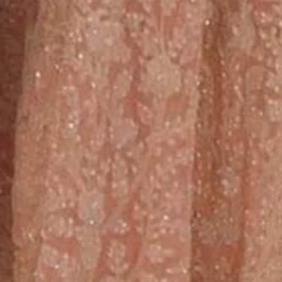 Indian Pakistani Wedding Gown, Churidaar, Duppatta - Picture 5 of 6